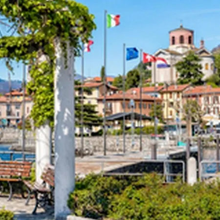 Monteggia *